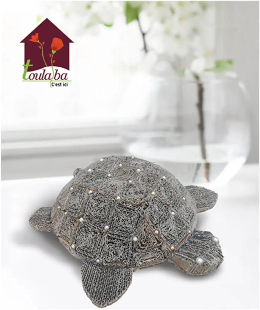petite-tortue